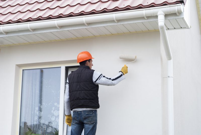 Wood Cladding Painting in Longmont, CO